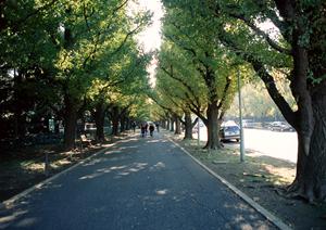 船橋市にある車検のコバックの特徴