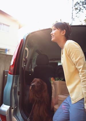 「家族の安全を守る！車検料金の透明性とコストパフォーマンスを徹底解説」