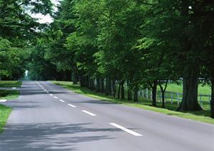 みよし市車検をお得に安心して受けるための完全ガイド