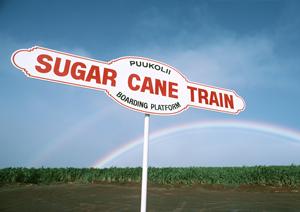 【車買取・車査定の専門】ティーバイティーガレージ|全国無料出張査定と即金買取の特徴と店舗情報